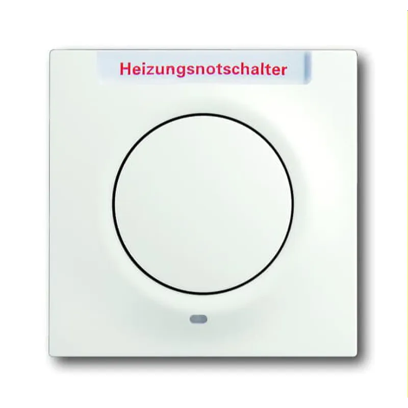 Busch-Jaeger Zentralscheibe 1789 H-774-101 studioweiß matt