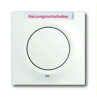Busch-Jaeger Zentralscheibe 1789 H-774-101 studioweiß matt