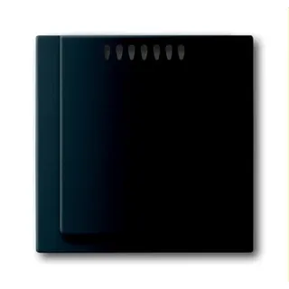 Busch-Jaeger Zentralscheibe 6541-775 schwarz matt