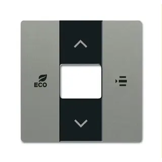 Busch-Jaeger Zentralscheibe 6236-803 graumetallisch