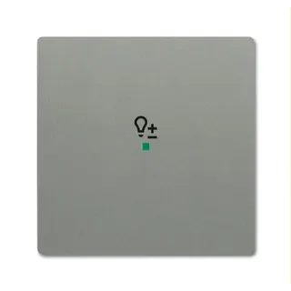 Busch-Jaeger Wippe 6234-10-803 1fach Dimmer graumetallisch