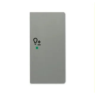 Busch-Jaeger Wippe 6234-22-803 2fach Dimmer graumetallisch