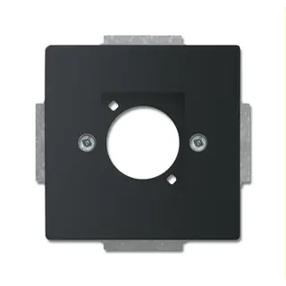 Busch-Jaeger Zentralscheibe 2553-885 schwarz matt