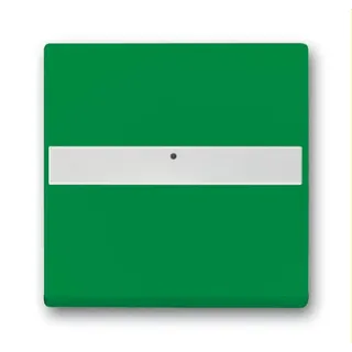 Busch-Jaeger Wippe 1764 NLI-13-82 BSF gr gr RAL6032