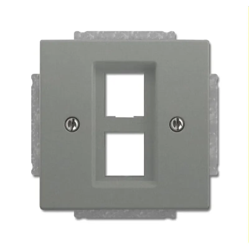 Busch-Jaeger Zentralscheibe 2561-02-803 graumetallisch