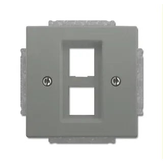 Busch-Jaeger Zentralscheibe 2561-02-803 graumetallisch