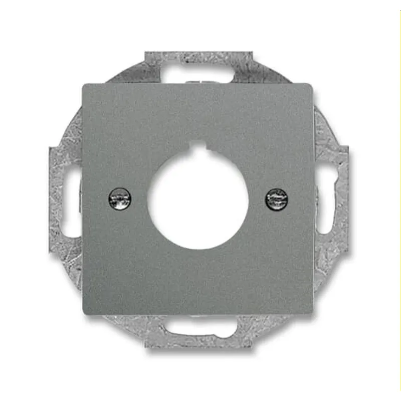 Busch-Jaeger Zentralscheibe 2533-803 mit Tragring graumetallisch