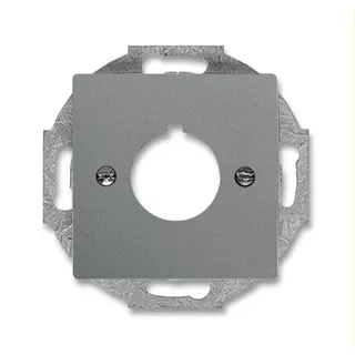Busch-Jaeger Zentralscheibe 2533-803 mit Tragring graumetallisch