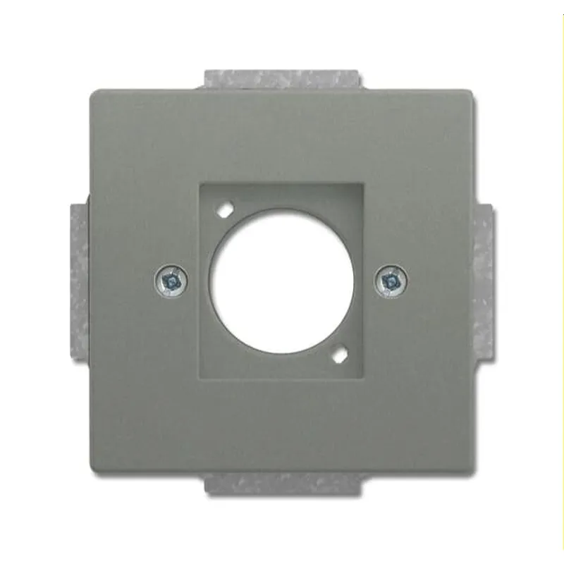 Busch-Jaeger Zentralscheibe 2553-803 graumetallisch