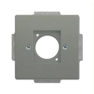 Busch-Jaeger Zentralscheibe 2553-803 graumetallisch