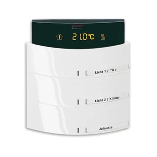 Busch-Jaeger 6321/38-24G triton 3/6fach MF/IR Raumtemperaturregler