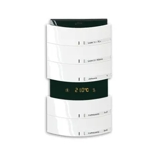 Busch-Jaeger 6321/58-24G triton 3/6fach MF/IR Raumtemperaturregler