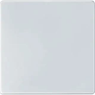 Merten Sensorfläche 573819 polarweiss AQUADESIGN