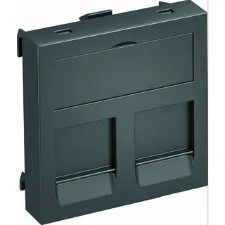 OBO Datentechnikträger DTG-2B SWGR1 für 2 Anschlussmodule