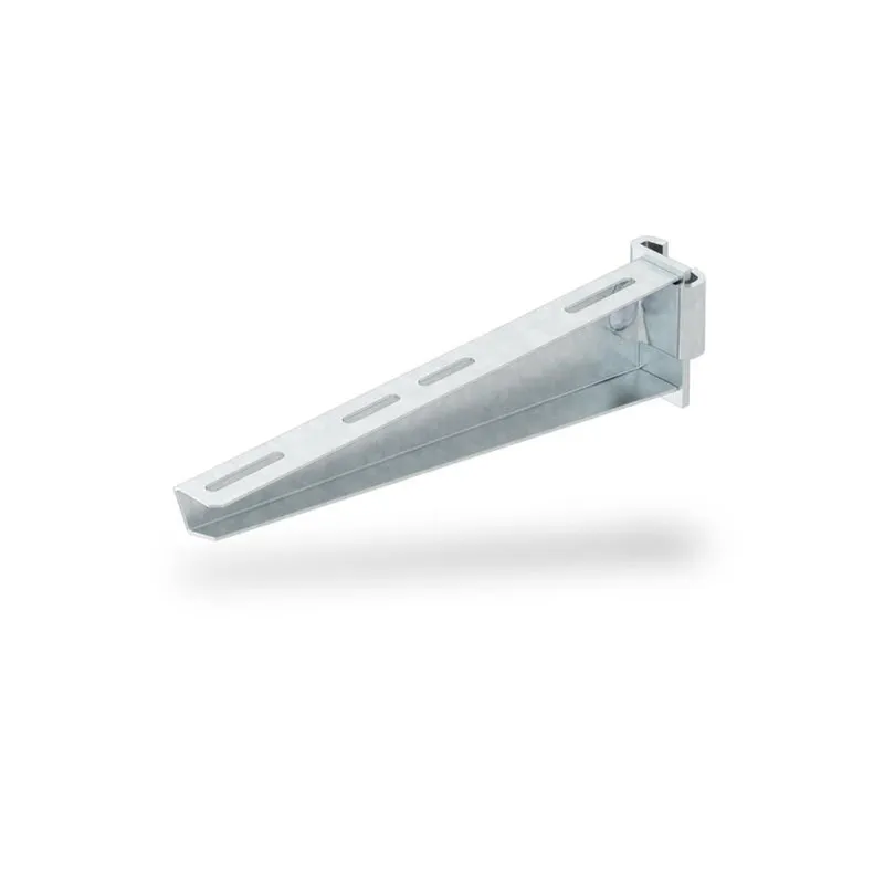 OBO Stielausleger AS 30/31 FT B: 310mm für IS8-Stiel