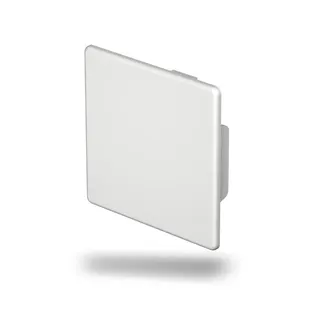 OBO Endstück WDK/HE 60060 60x60mm lichtgrau