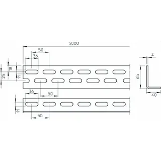 OBO Winkeleisen WP4065F 40x65x5000 gelocht – Bild 2
