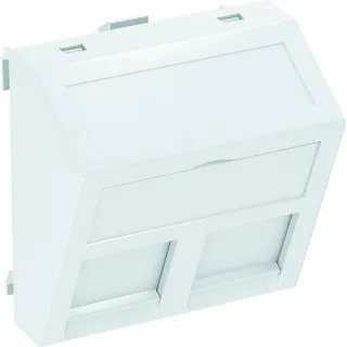 OBO Datentechnikträger DTS-2F RW1 für 2 Anschlussmodule Typ F