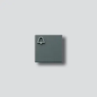 Siedle Klingeltaste mit Glockensymbol zu TM 612-4/BTM 650-04 DG 200029947-00