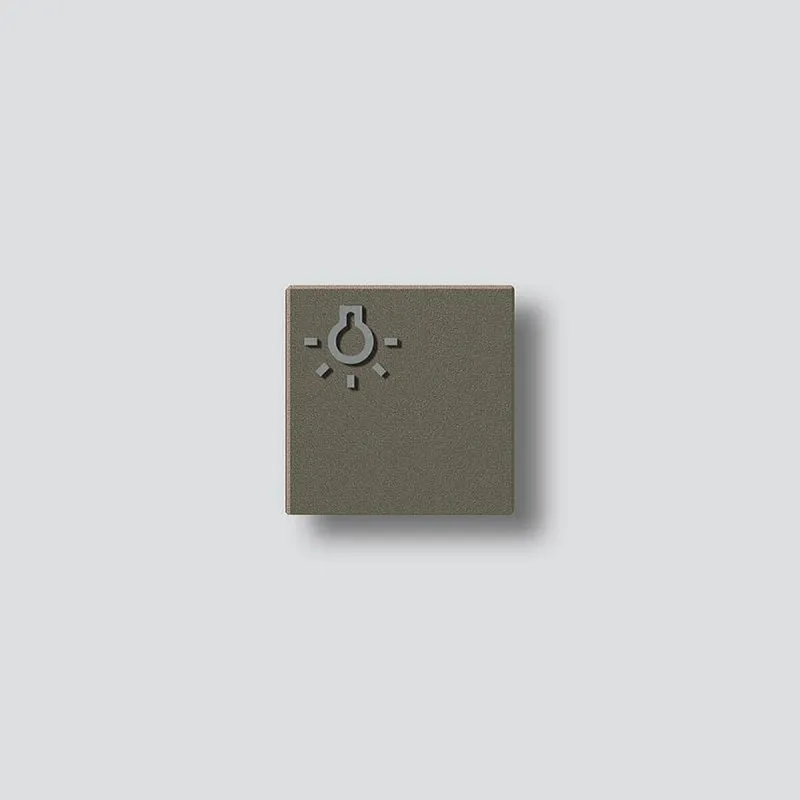 Siedle Licht-Taste Symbol Licht TLM 611/612-01, BTLM 650 BG 200029979-00