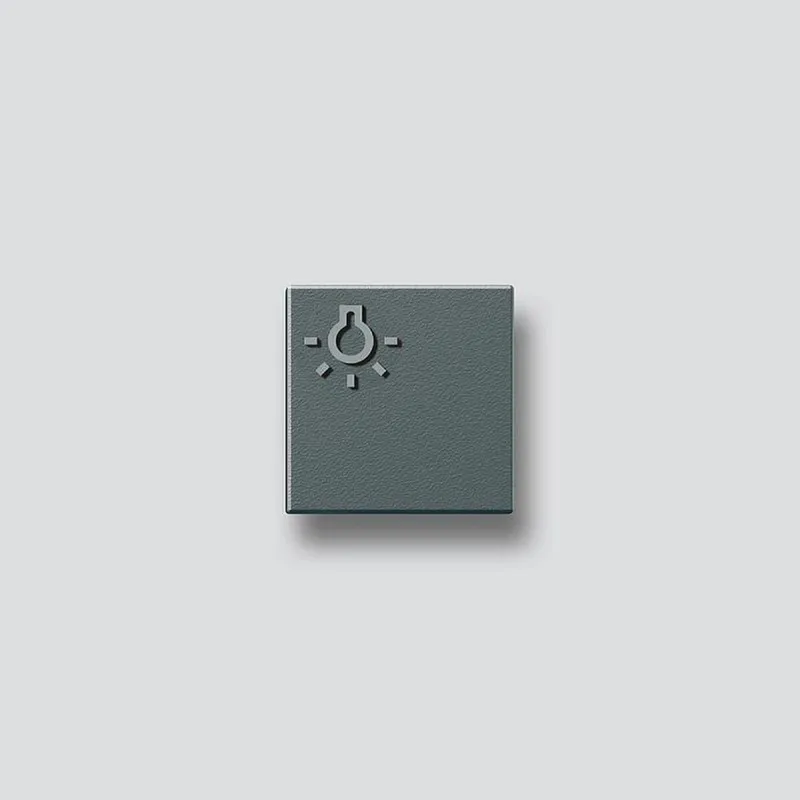 Siedle Licht-Taste Symbol Licht TLM 611/612-01, BTLM 650 DG 200029980-00