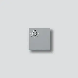 Siedle Lichttaster 29098 200029098-00