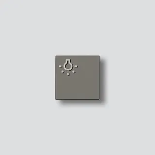 Siedle Lichttaster 29099 200029099-00