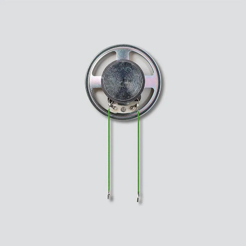 Siedle Lautsprecher 09139 für TLE051-./TL352-. (55x18mm) 200009139-00