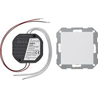 Gira Netzgleichrichter 296903 UP 250mA System 55 reinweiss