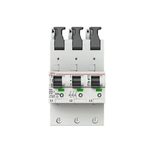AEG Hauptleitungsschutzschalter HS91.3E25SAV SHU 25kA E25A 3x1pol.