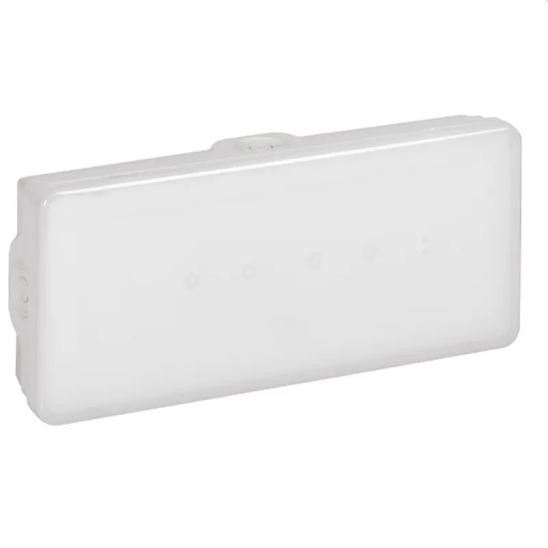 Legrand Notleuchte 661431 B65 100LM 1STD B-D IP65