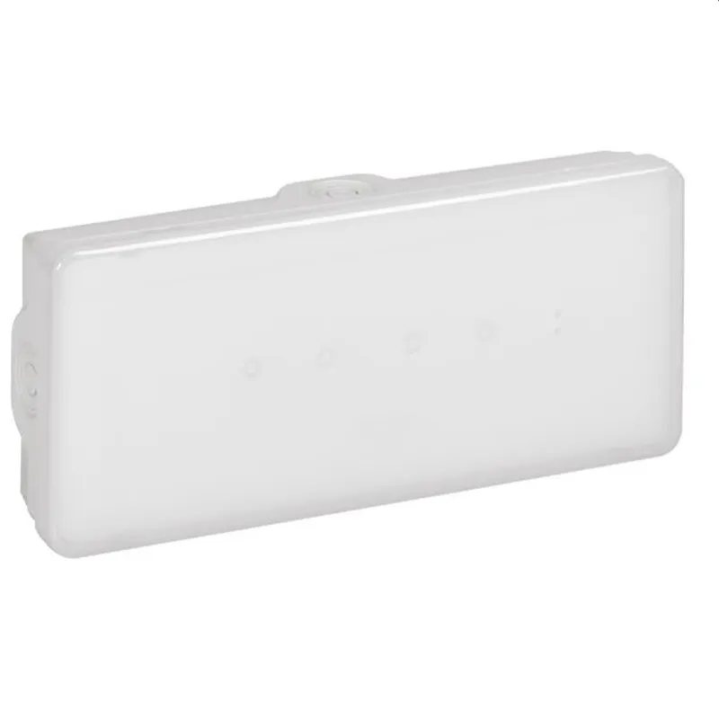 Legrand Notleuchte 662431 B65 100LM 1STD B-D AAT IP65