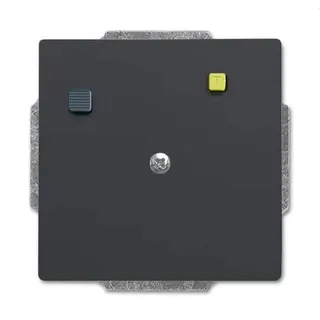 Busch-Jaeger Einsatz 3151 UC-81 Buschmat-FI anthrazit