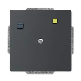 Busch-Jaeger Einsatz 3151 UC-885 Buschmat-FI schwarz matt
