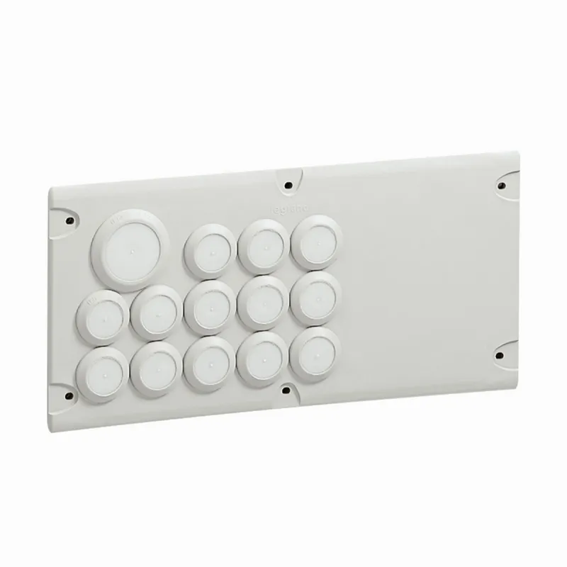 Legrand Flanschplatte 036496 31F
