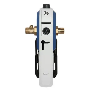 BWT Einhebelfilter E1 mit Druckminderer DN 25 (R 1"), Hauswasserstation