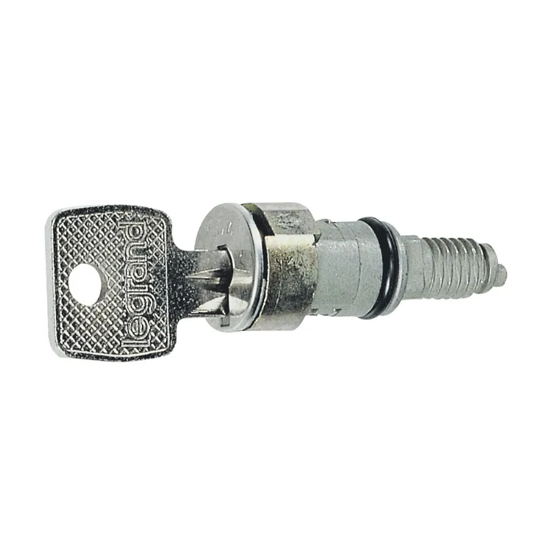 Legrand Schließzylinder 036822 NR.405