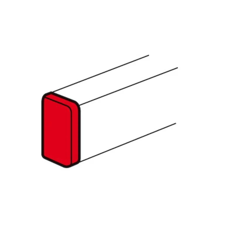 Legrand Endverschluss 010706 DLPE 65X150