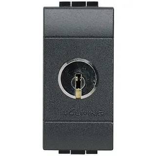 Bticino Wechselschalter L4022C versch.Schliessung anthrazit