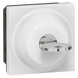 Legrand Schlüsselschalter 077073 MSC Ronis 2mod ws