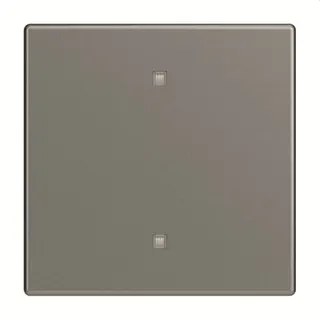 Busch-Jaeger Wippe 2570-10-803 Elektroniktaster