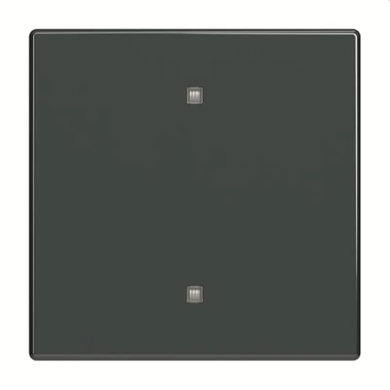 Busch-Jaeger Wippe 2570-10-81 Elektroniktaster