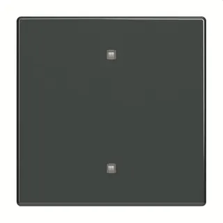 Busch-Jaeger Wippe 2570-10-81 Elektroniktaster