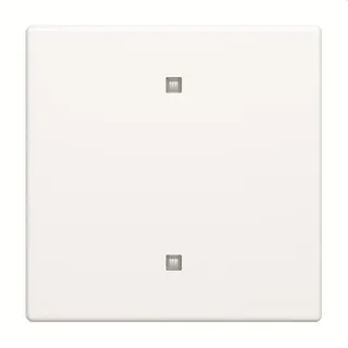 Busch-Jaeger Wippe 2570-10-884 Elektroniktaster