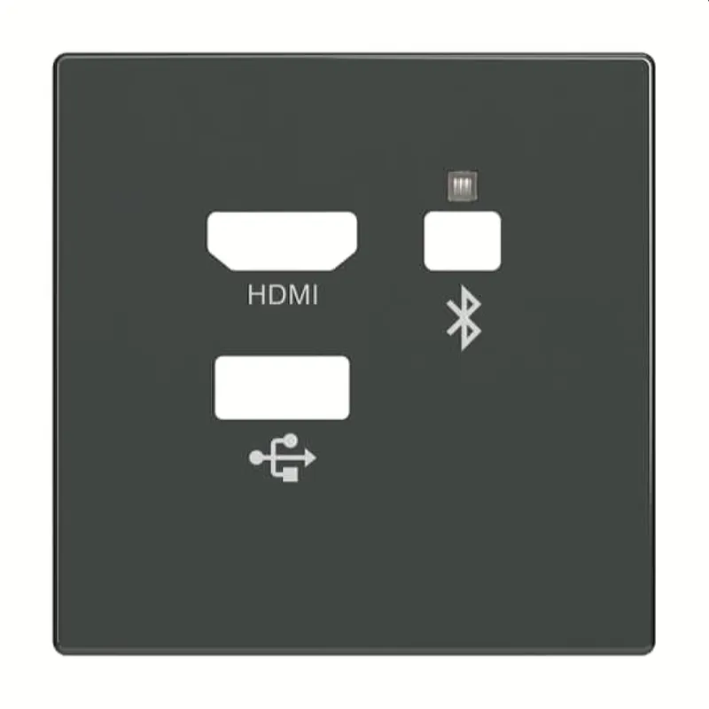Busch-Jaeger Zentralscheibe 8256-81 Media Connector