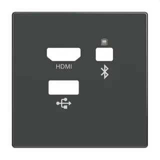 Busch-Jaeger Zentralscheibe 8256-81 Media Connector