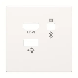 Busch-Jaeger Zentralscheibe 8256-884 Media Connector