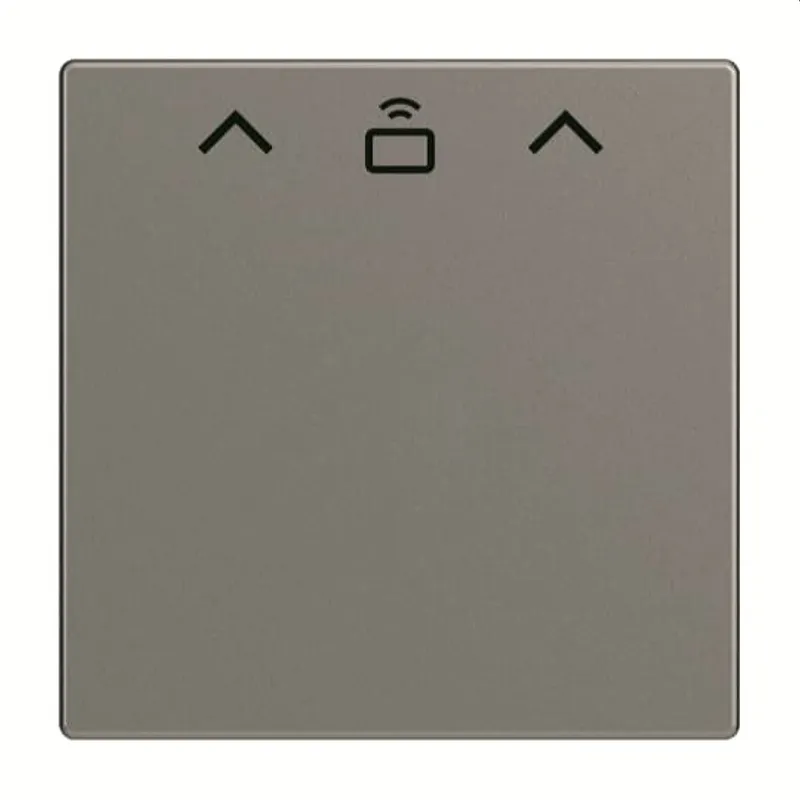 Busch-Jaeger Zentralscheibe Cardschalter RFID 1792 RFID-803