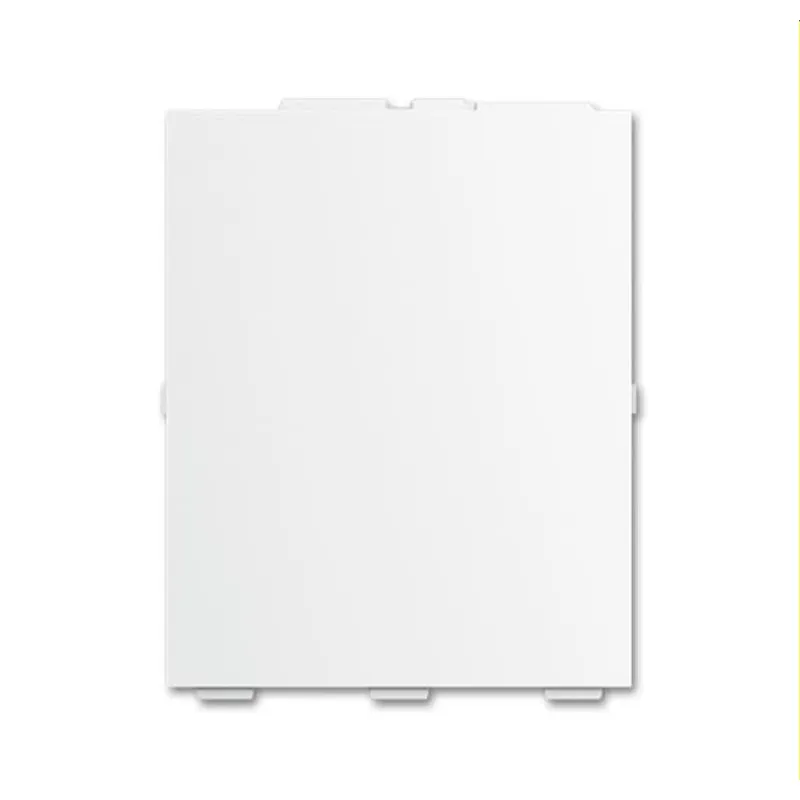 Busch-Jaeger Abdeckung SLS/A.0.11-84 Schriftfeld RTR klein ws
