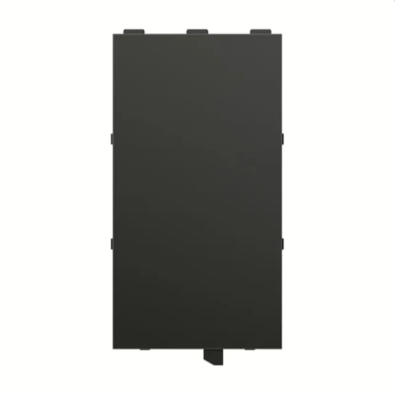 Busch-Jaeger Abdeckung SLB/A.0.11-885 RTR groß sw mt sw mt